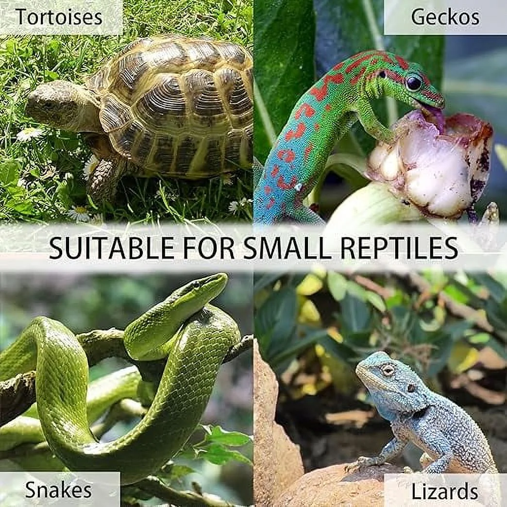 Gowoodhut TOR02 Tortoise Habitat On Wheels Large Wooden Tortoise House Outdoor Reptile Cage with Leak-Proof Trays - Image 6